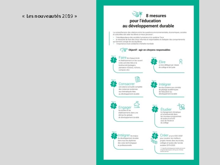  « Les nouveautés 2019 » 