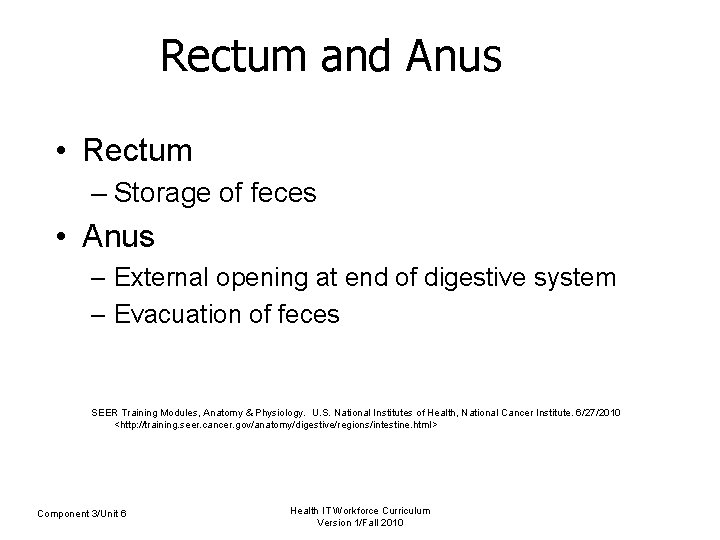 Rectum and Anus • Rectum – Storage of feces • Anus – External opening