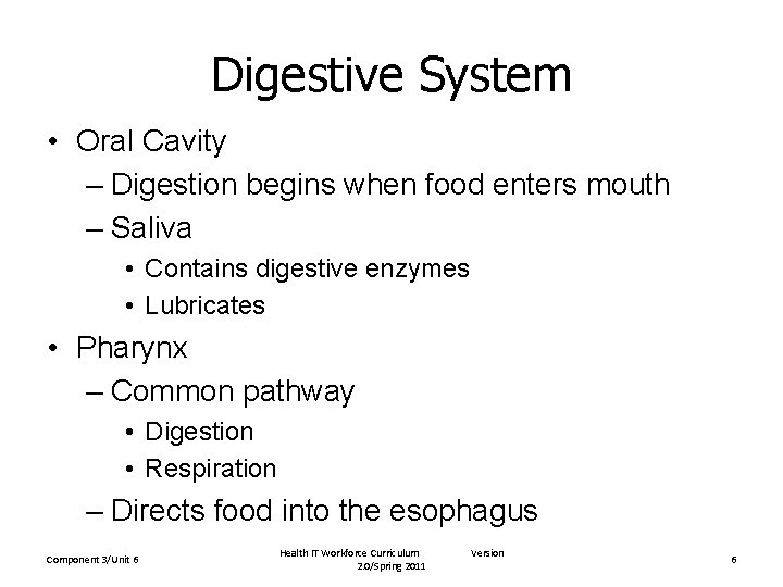 Digestive System • Oral Cavity – Digestion begins when food enters mouth – Saliva