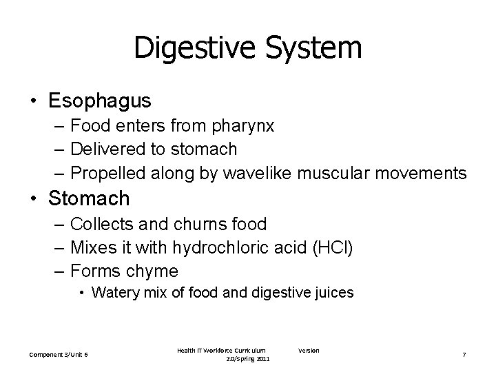 Digestive System • Esophagus – Food enters from pharynx – Delivered to stomach –