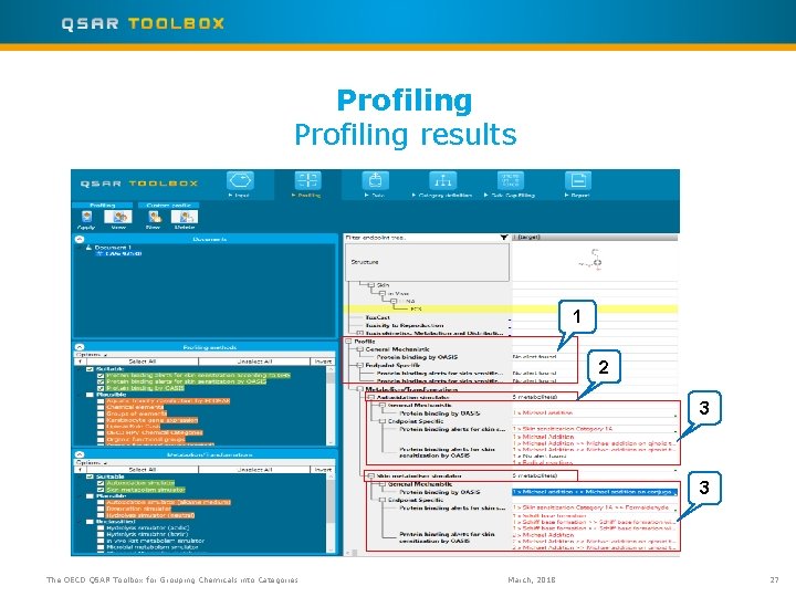 Profiling results 1 2 3 3 The OECD QSAR Toolbox for Grouping Chemicals into