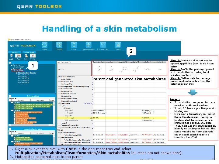 Handling of a skin metabolism 2 1 Parent and generated skin metabolites Step 1: