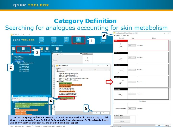 Category Definition Searching for analogues accounting for skin metabolism 6 1 3 2 4