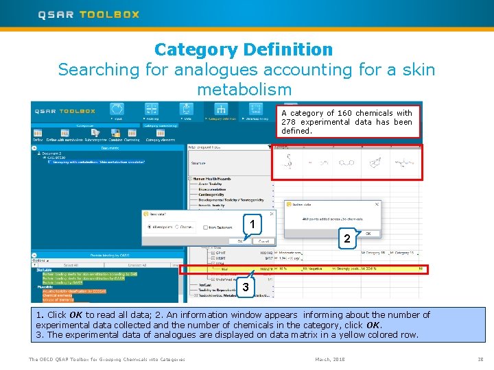 Category Definition Searching for analogues accounting for a skin metabolism A category of 160