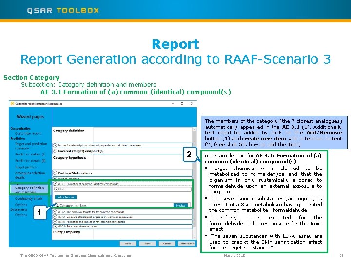 Report Generation according to RAAF-Scenario 3 Section Category Subsection: Category definition and members AE