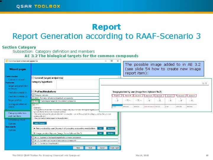 Report Generation according to RAAF-Scenario 3 Section Category Subsection: Category definition and members AE