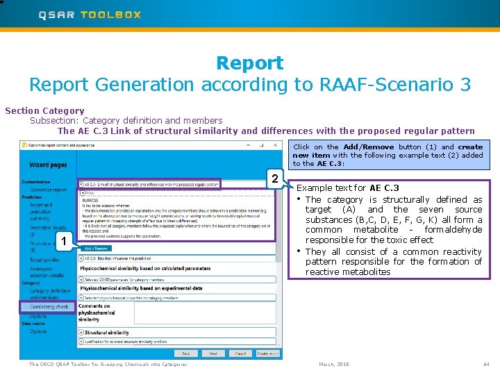 Report Generation according to RAAF-Scenario 3 Section Category Subsection: Category definition and members The