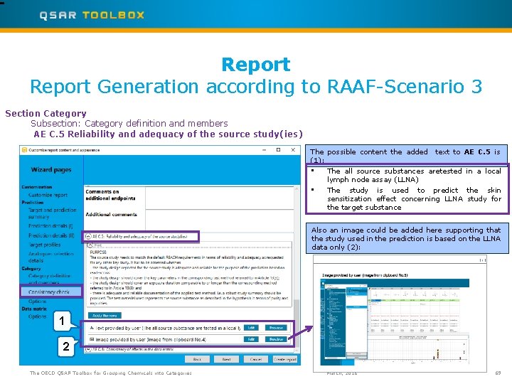 Report Generation according to RAAF-Scenario 3 Section Category Subsection: Category definition and members AE