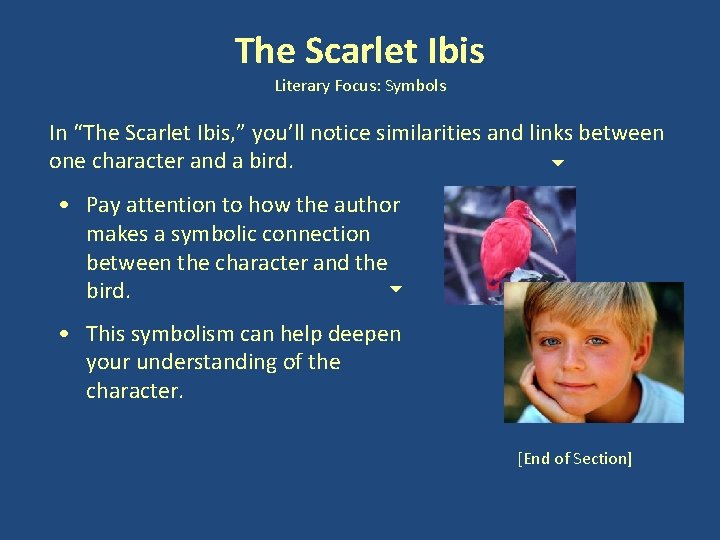 The Scarlet Ibis Literary Focus: Symbols In “The Scarlet Ibis, ” you’ll notice similarities