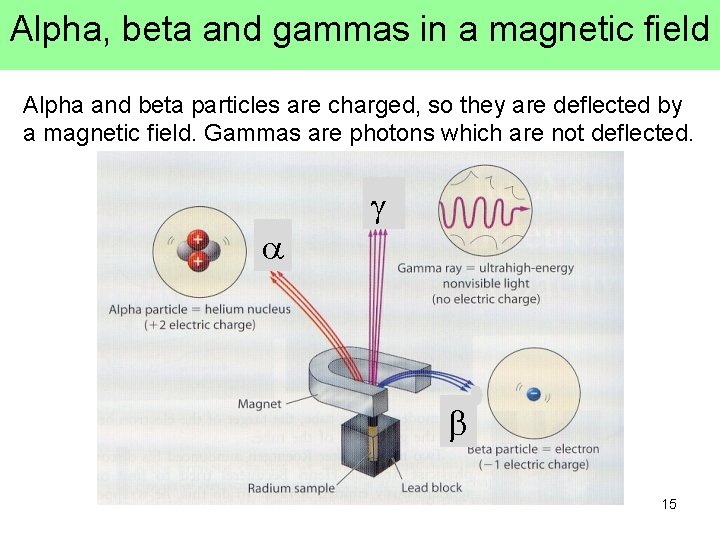 Alpha, beta and gammas in a magnetic field Alpha and beta particles are charged,