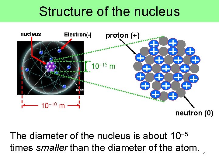 Structure of the nucleus Electron(-) proton (+) 10 15 m 10 10 m neutron