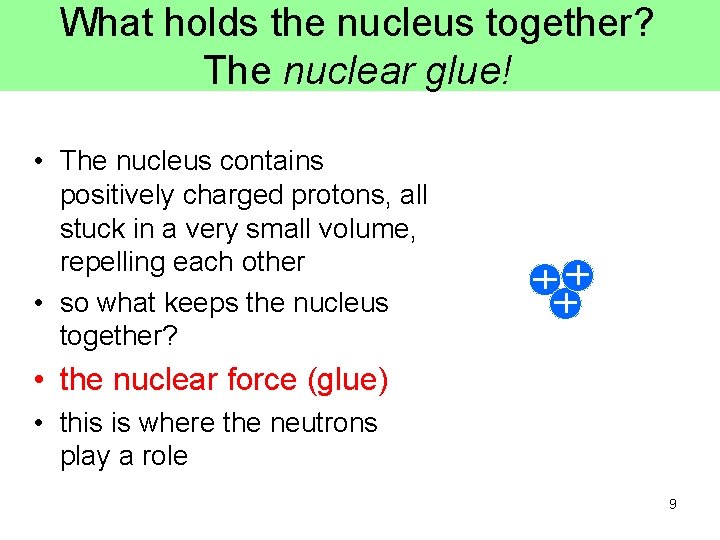 What holds the nucleus together? The nuclear glue! • The nucleus contains positively charged