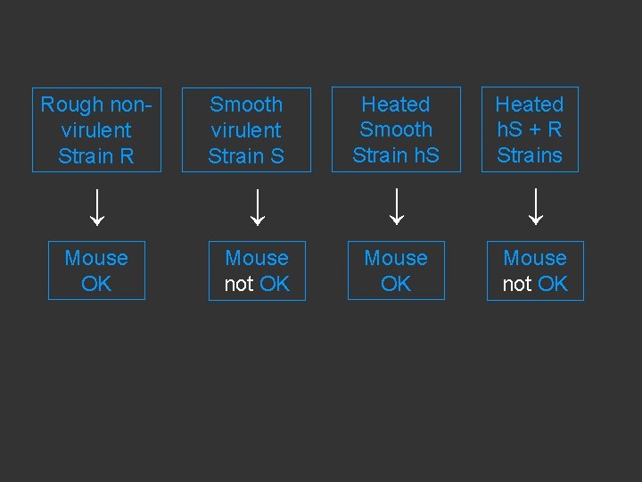 Rough nonvirulent Strain R Smooth virulent Strain S Heated Smooth Strain h. S Heated