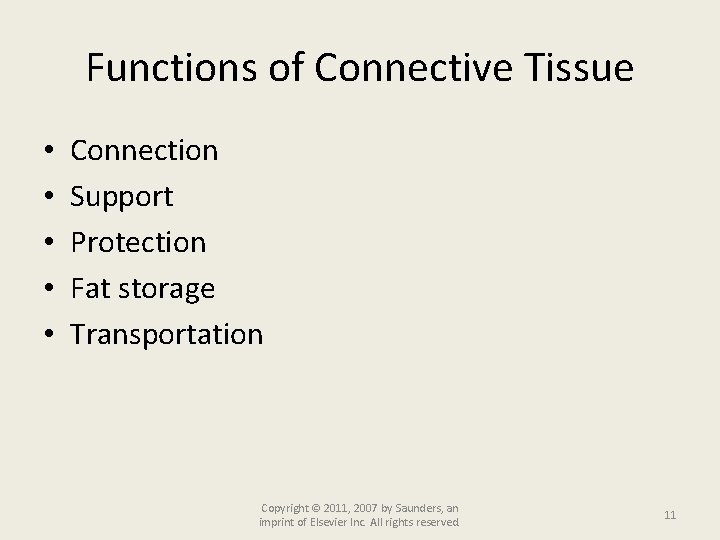 Functions of Connective Tissue • • • Connection Support Protection Fat storage Transportation Copyright