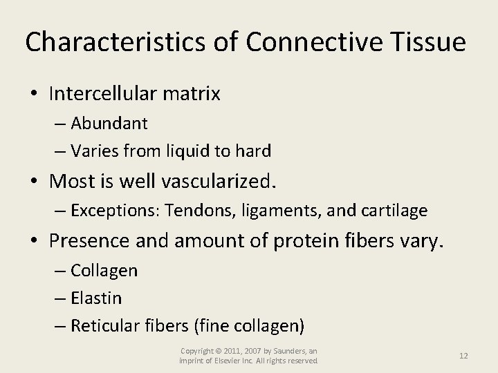 Characteristics of Connective Tissue • Intercellular matrix – Abundant – Varies from liquid to
