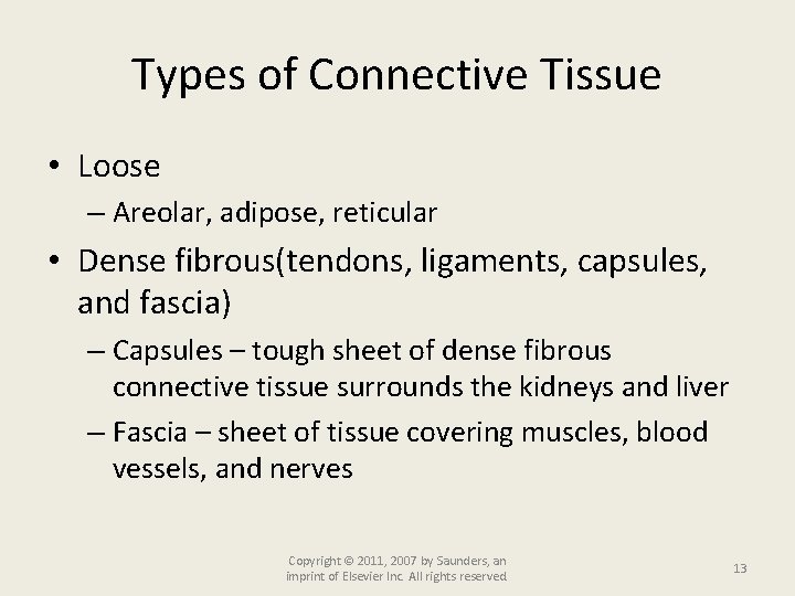Types of Connective Tissue • Loose – Areolar, adipose, reticular • Dense fibrous(tendons, ligaments,