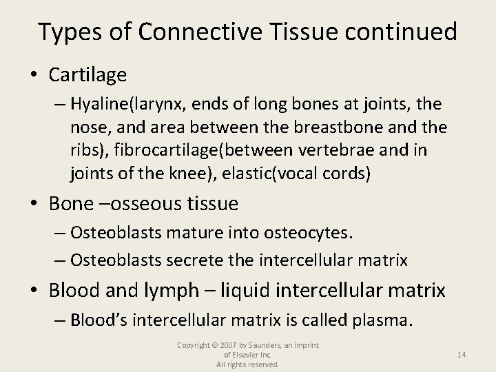 Types of Connective Tissue continued • Cartilage – Hyaline(larynx, ends of long bones at