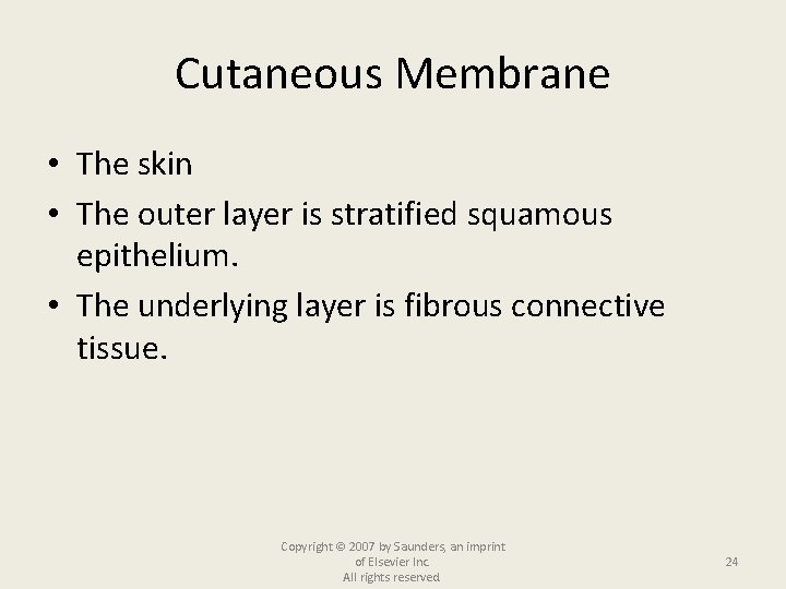 Cutaneous Membrane • The skin • The outer layer is stratified squamous epithelium. •