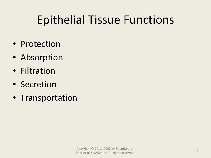Epithelial Tissue Functions • • • Protection Absorption Filtration Secretion Transportation Copyright © 2011,