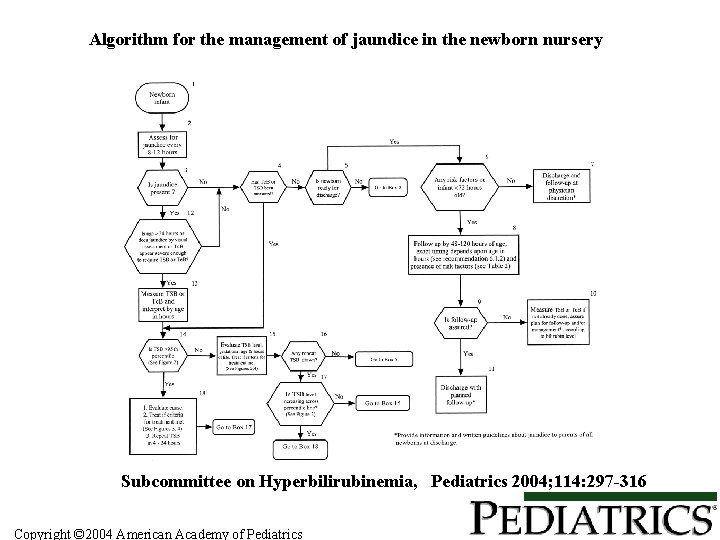 Algorithm for the management of jaundice in the newborn nursery Subcommittee on Hyperbilirubinemia, Pediatrics