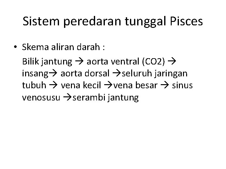 Sistem peredaran tunggal Pisces • Skema aliran darah : Bilik jantung aorta ventral (CO