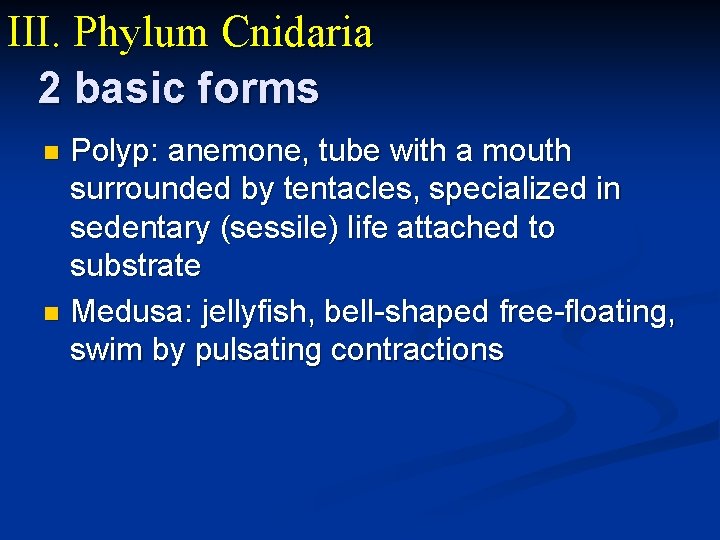 III. Phylum Cnidaria 2 basic forms Polyp: anemone, tube with a mouth surrounded by