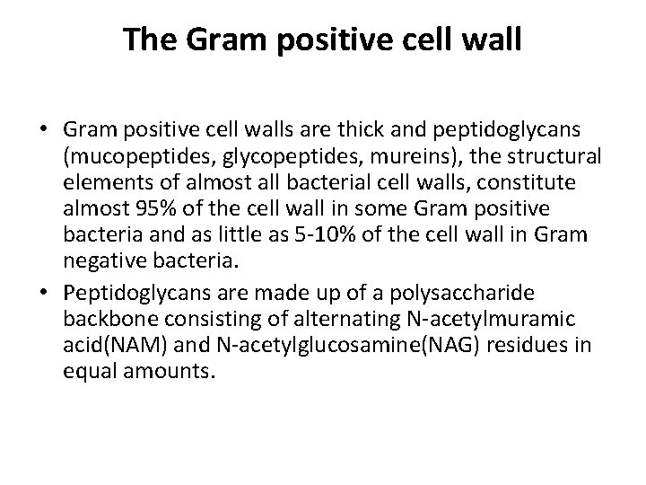 The Gram positive cell wall • Gram positive cell walls are thick and peptidoglycans