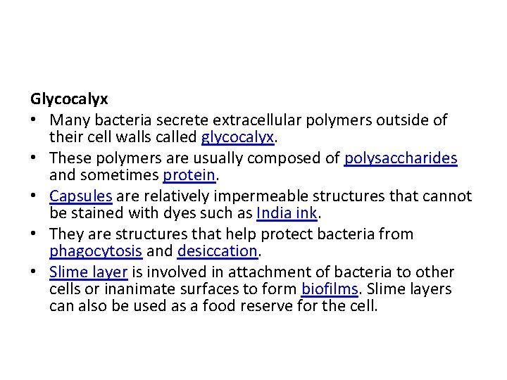 Glycocalyx • Many bacteria secrete extracellular polymers outside of their cell walls called glycocalyx.