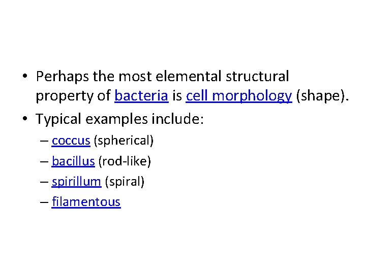  • Perhaps the most elemental structural property of bacteria is cell morphology (shape).