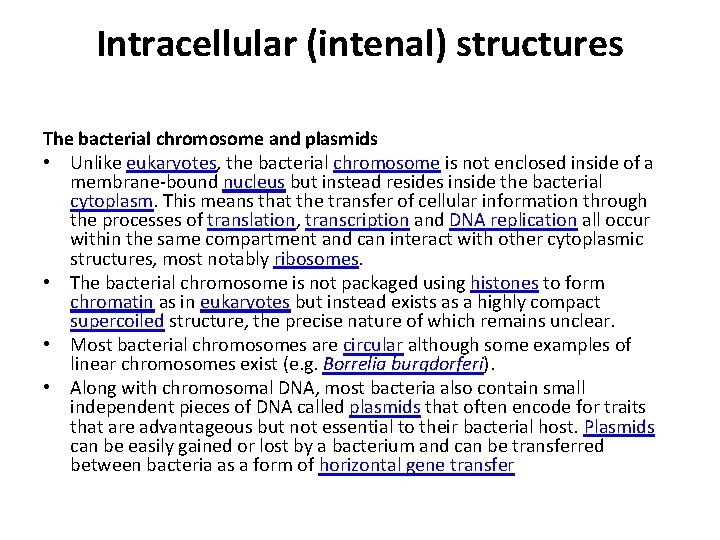 Intracellular (intenal) structures The bacterial chromosome and plasmids • Unlike eukaryotes, the bacterial chromosome