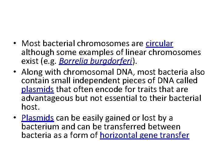  • Most bacterial chromosomes are circular although some examples of linear chromosomes exist