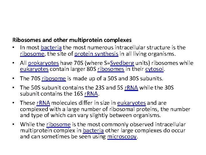 Ribosomes and other multiprotein complexes • In most bacteria the most numerous intracellular structure