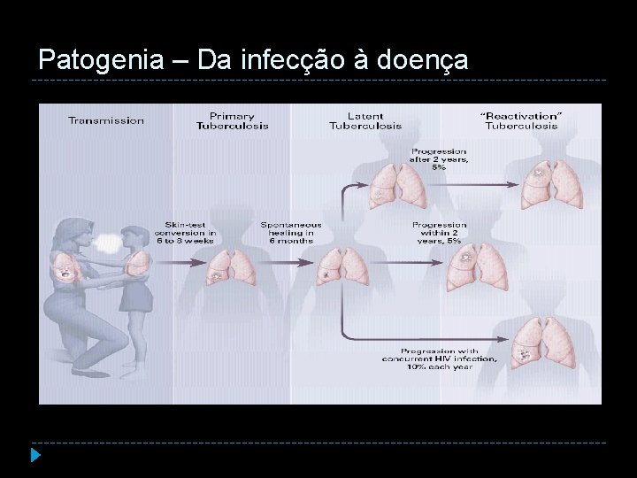 Patogenia – Da infecção à doença 