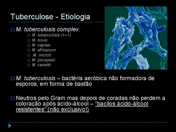 Tuberculose - Etiologia � M. tuberculosis complex: M. tuberculosis (+++) M. bovis M. caprae