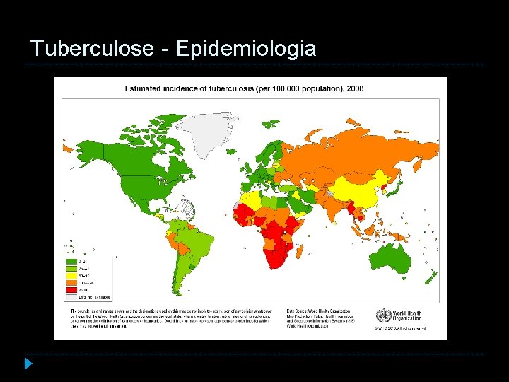 Tuberculose - Epidemiologia 