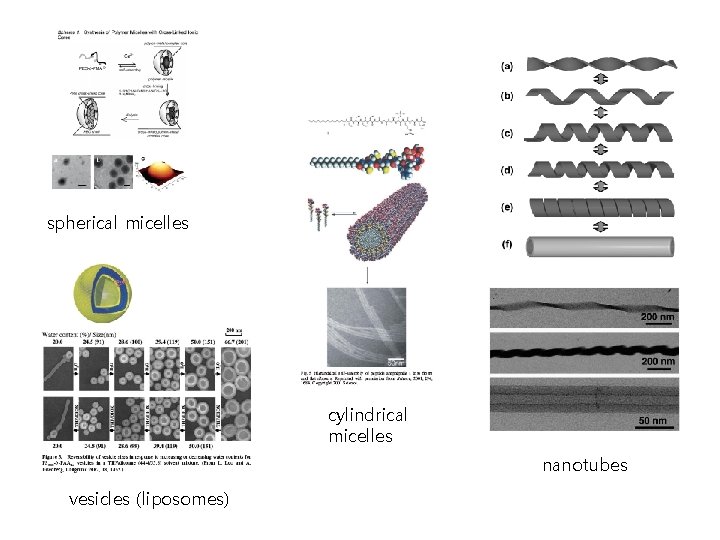 spherical micelles cylindrical micelles nanotubes vesicles (liposomes) 