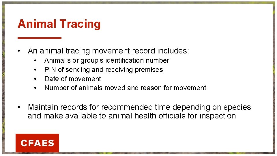 Animal Tracing • An animal tracing movement record includes: • • Animal’s or group’s