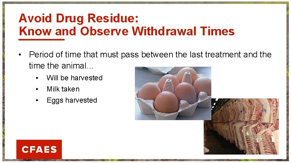 Establish Effective Animal Identification Medication Records and Withdrawal