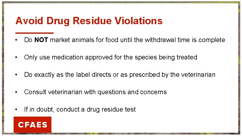 Avoid Drug Residue Violations • Do NOT market animals for food until the withdrawal