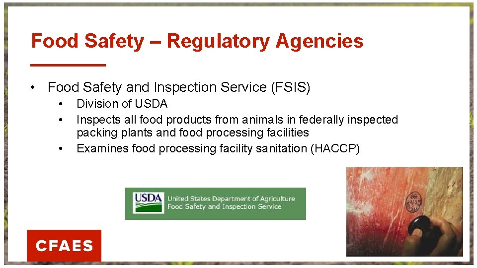 Food Safety – Regulatory Agencies • Food Safety and Inspection Service (FSIS) • •