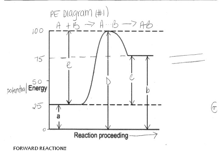 AIM: HOW CAN WE INTERPRET POTENTIAL ENERGY DIAGRAMS? FORWARD REACTION!! 