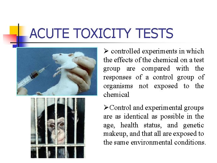ACUTE TOXICITY TESTS Ø controlled experiments in which the effects of the chemical on
