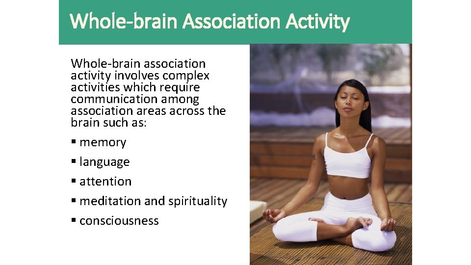 Whole-brain Association Activity Whole-brain association activity involves complex activities which require communication among association