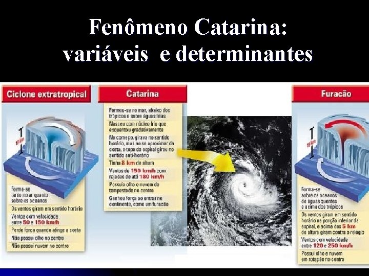 Fenômeno Catarina: variáveis e determinantes 