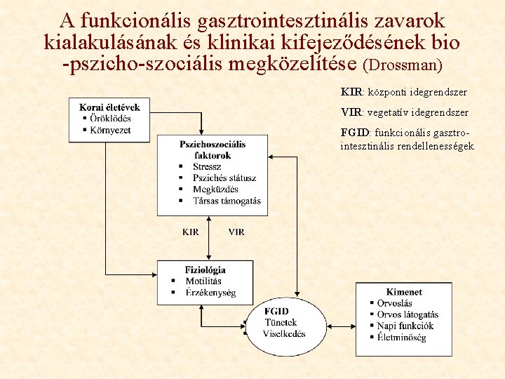 A funkcionális gasztrointesztinális zavarok kialakulásának és klinikai kifejeződésének bio -pszicho-szociális megközelítése (Drossman) KIR: központi