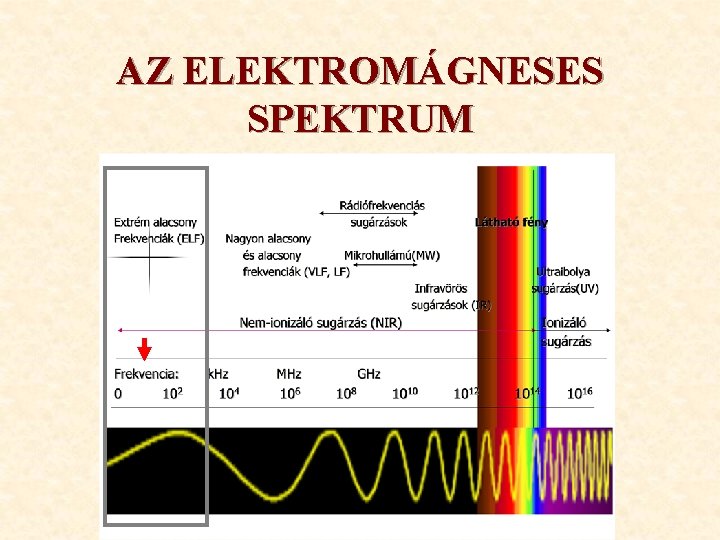 AZ ELEKTROMÁGNESES SPEKTRUM 