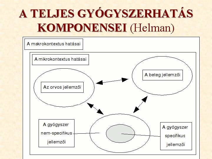 A TELJES GYÓGYSZERHATÁS KOMPONENSEI (Helman) 