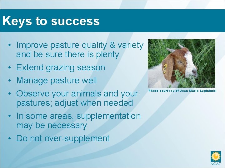 Keys to success • Improve pasture quality & variety and be sure there is