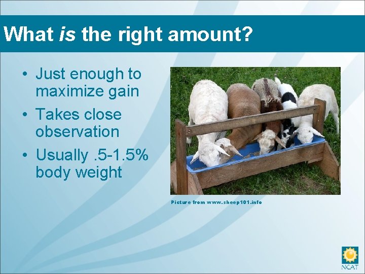 What is the right amount? • Just enough to maximize gain • Takes close