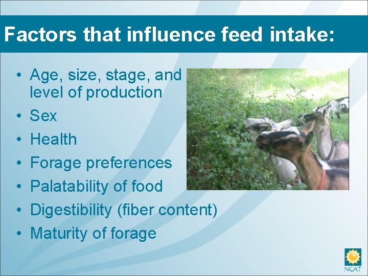 Factors that influence feed intake: • Age, size, stage, and level of production •
